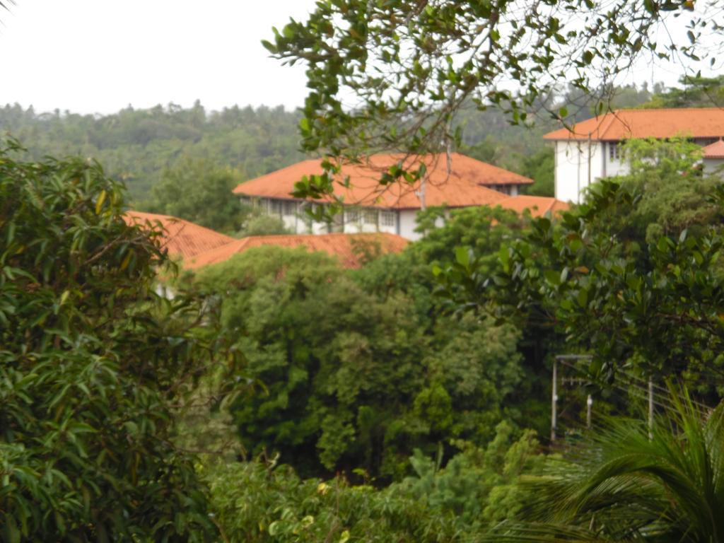 Mount View Villa Resort Mirissa Exterior photo