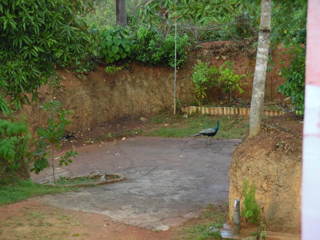 Mount View Villa Resort Mirissa Exterior photo
