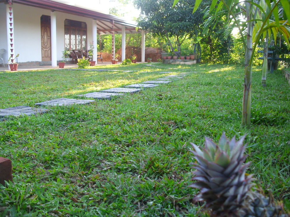 Mount View Villa Resort Mirissa Exterior photo
