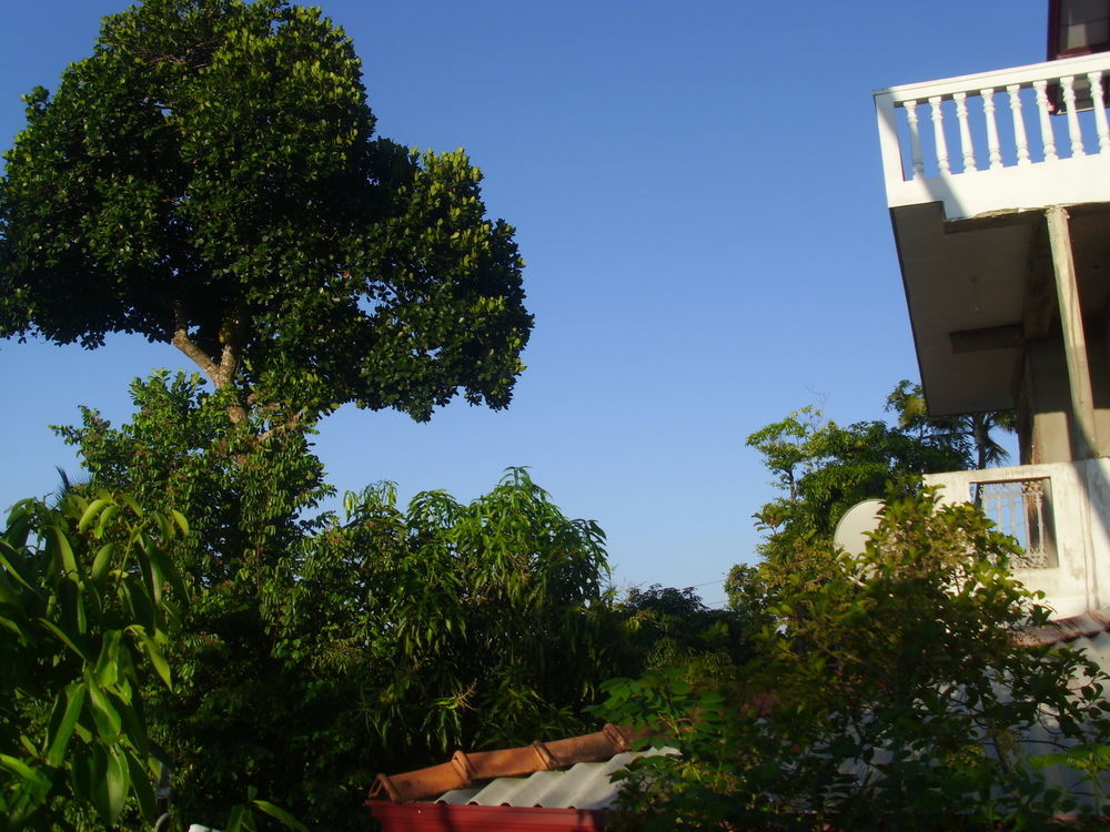 Mount View Villa Resort Mirissa Exterior photo